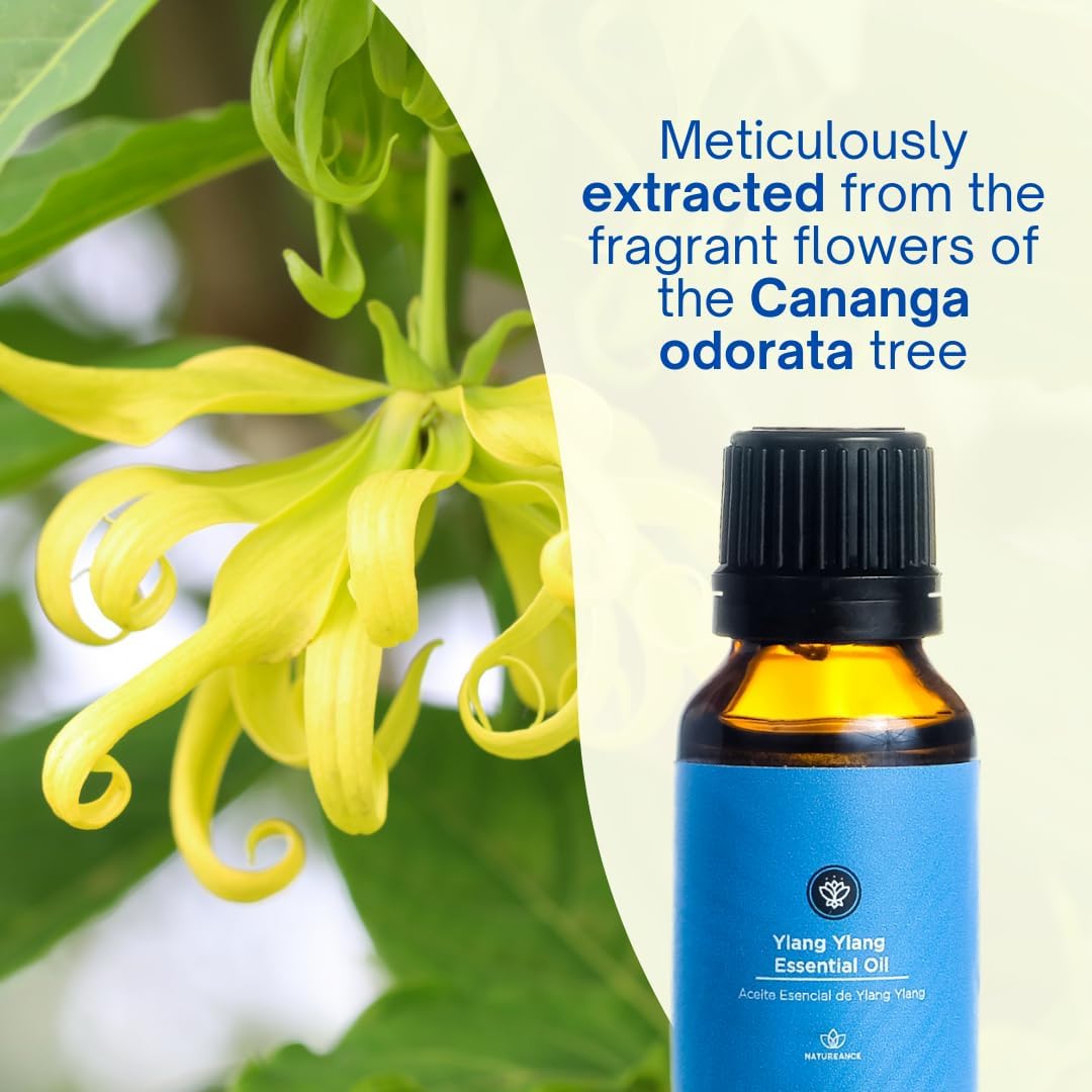 Ylang Ylang Essential Oil (15 mL) - 100% Pure and Natural, Therapeutic Grade Essential Oil.