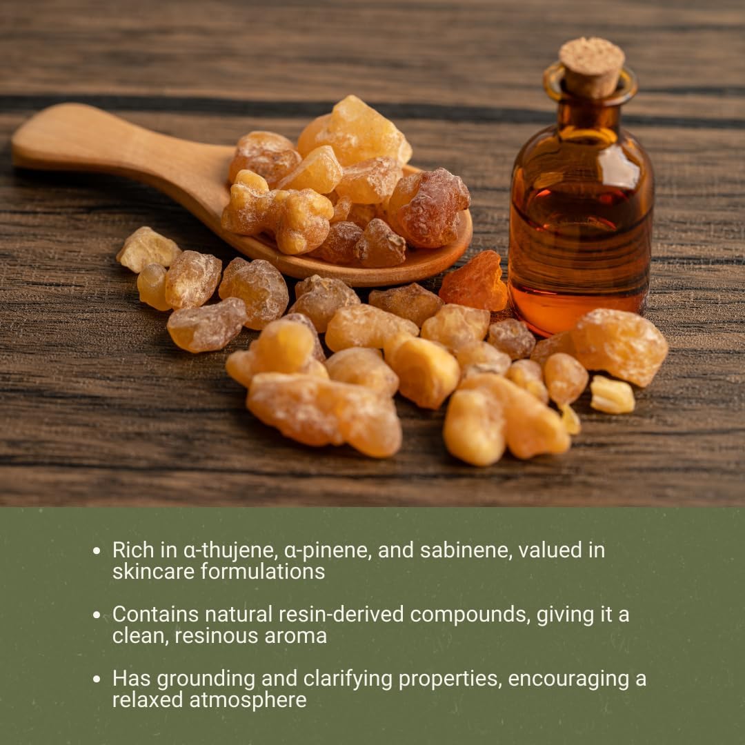 Frankincense Essential Oil - Direct from Madhya Pradesh, India - Pure Essential Oil for Diffusers and Aromatherapy | 100% Pure Therapeutic Grade Natural Aceite de Incienso (8oz)