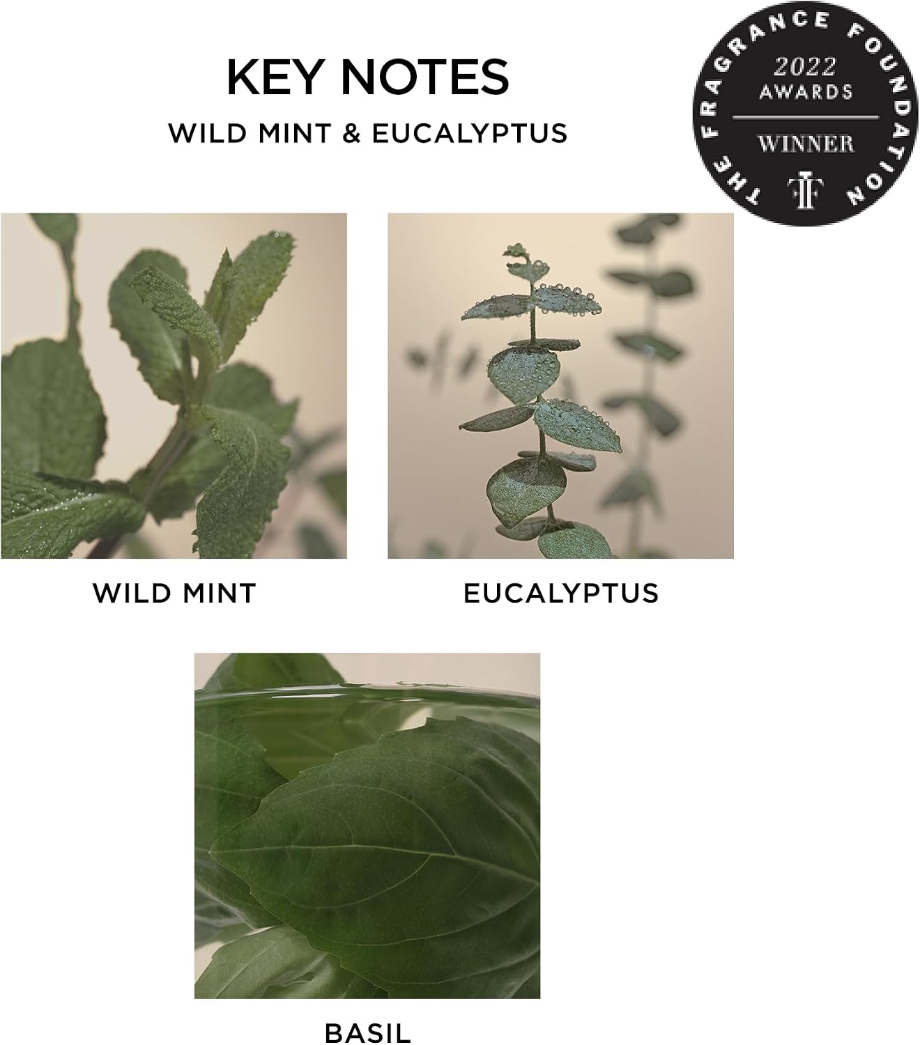 NEST New York Wall Diffuser Refill Vials, Wild Mint & Eucalyptus - Set of 2 - Up to 60 Days of Continuous Scent - Cruelty Free, Vegan - Made in USA