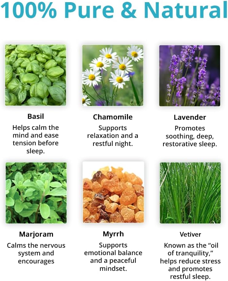 Wild Essentials Go The F to Sleep Essential Oil Blend, Soothing Bedtime Aromatherapy Oil for Diffusers, 100% Pure, Crafted in USA