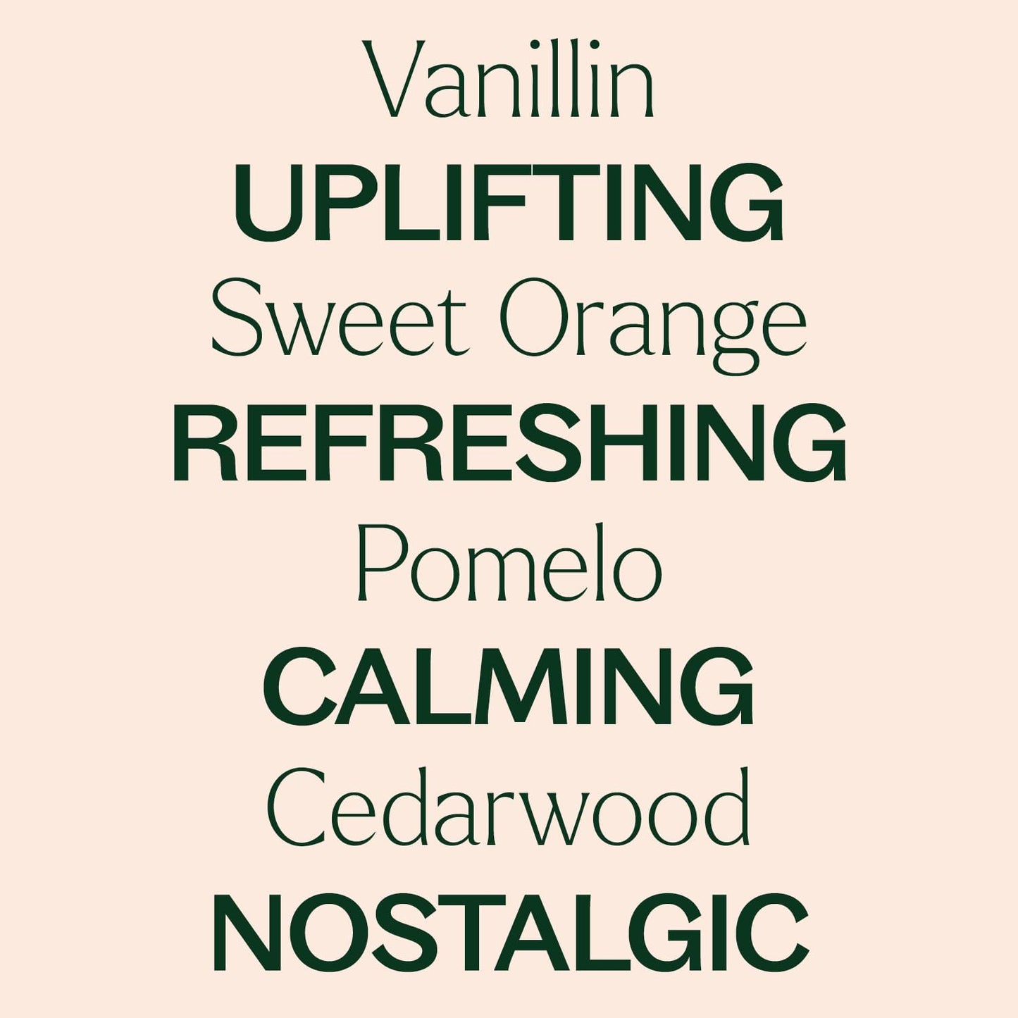 Plant Therapy Orange Cream Summer Essential Oil Blend 10 mL (1/3 oz) Feel-Good Citrus Sweetness, Uplifting & Cheerful, Evokes Nostalgic Summer Treat Memories