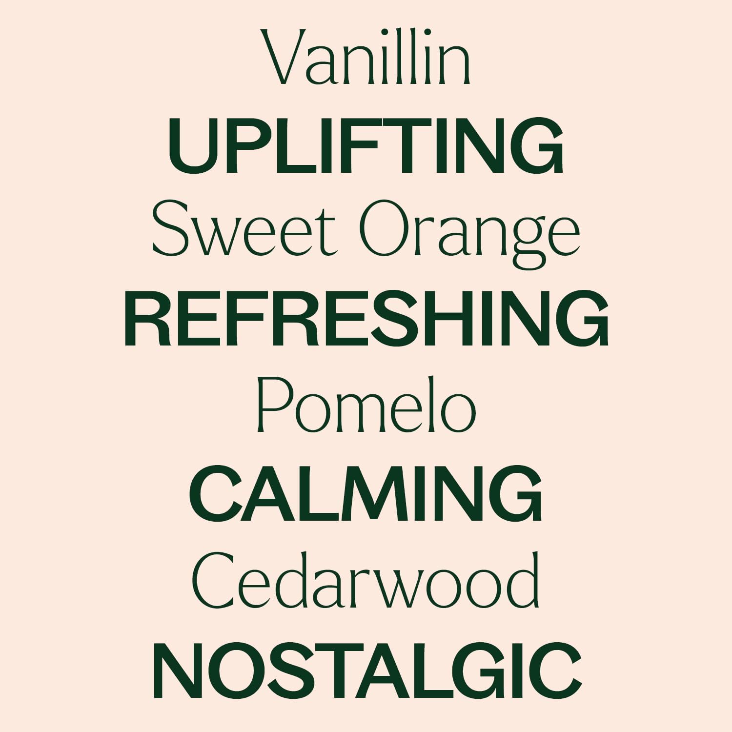 Plant Therapy Orange Cream Summer Essential Oil Blend 10 mL (1/3 oz) Feel-Good Citrus Sweetness, Uplifting & Cheerful, Evokes Nostalgic Summer Treat Memories