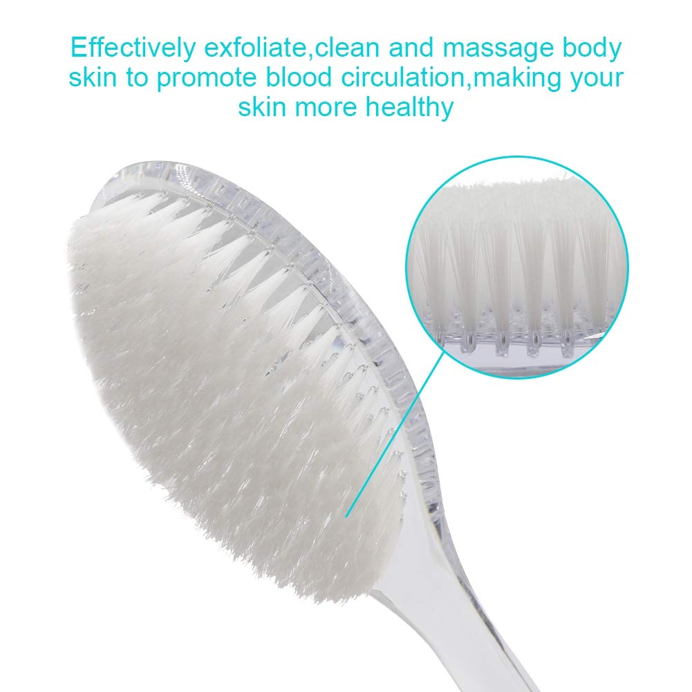 Body Dry Brushing Back Scrubber With Curved Plastic Long Handle - Clear Bath Shower Brush for Dry Skin Exfoliating, Cellulite - for Men and Women (Transparent Handle)