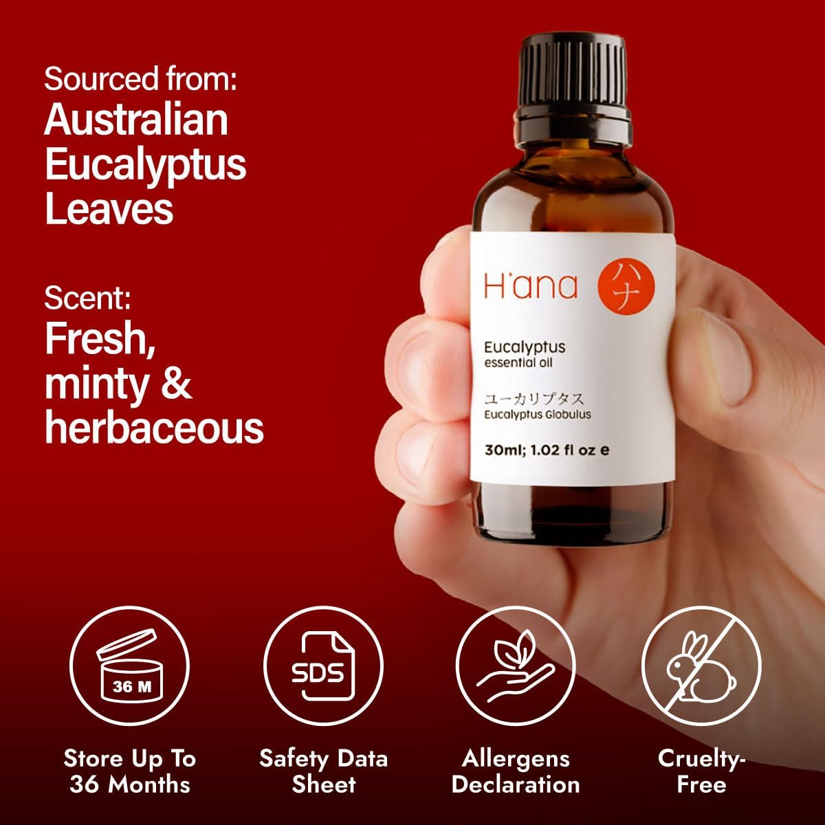 H'ana Eucalyptus Oil - 1.02 Fl Oz Eucalyptus Essential Oil for Hair, Skin, Diffuser, Aromatherapy & DIY