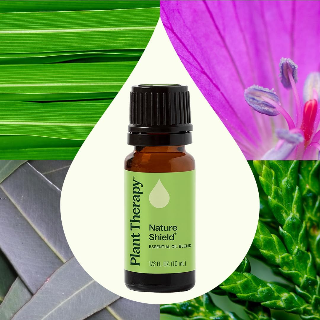 Plant Therapy Nature Shield Synergy Essential Oil 10 mL (1/3 oz) 100% Pure, Undiluted, Therapeutic Grade