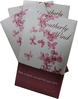 Southerly Wind Scented Sachets Pack of 3, Everyday - Long-Lasting Scented Bags, Home Fragrance, Air Freshener & Deodorizer for Closet, Room, Drawer, or Cars, Made in USA