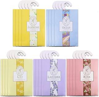 2026 NEW 4 Pack Air Freshner Deodorizer Scented Sachets Bags for Drawer and Closet with Hanger (Purple)
