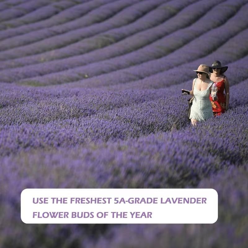 Lavender Sachets Bag for Drawers and Closets，Perfect for Cars, Gym Bags or Anyplace that Needs to Smell Better，Long-Lasting Fresh Scents，Pack of 10