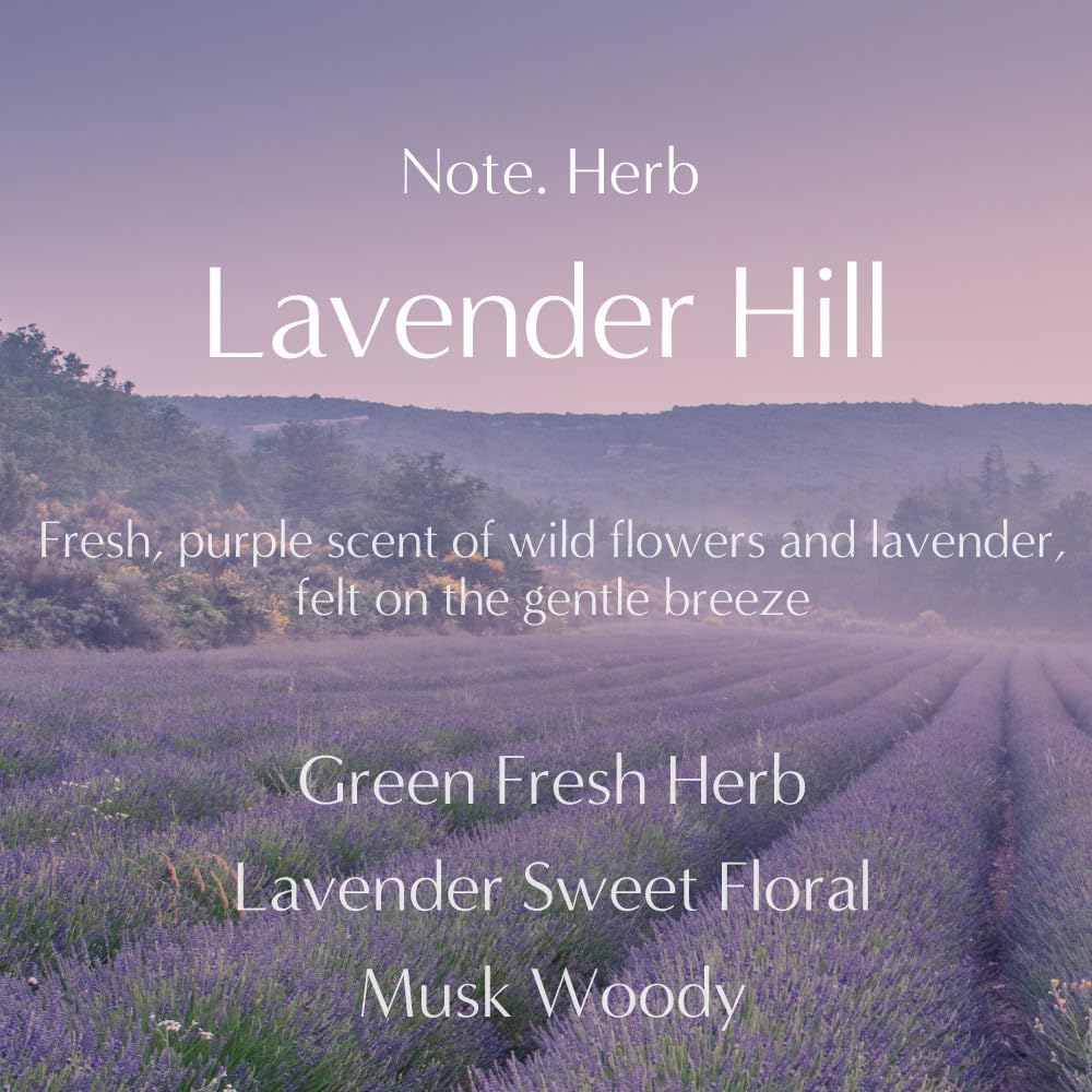 COCODOR 10 Packs Lavender Scented Sachets/Air Freshener Sachets Bags for Drawers, Closet, Cars, Long-Lasting Deodorizers Fresh Scents, Home Fragrance