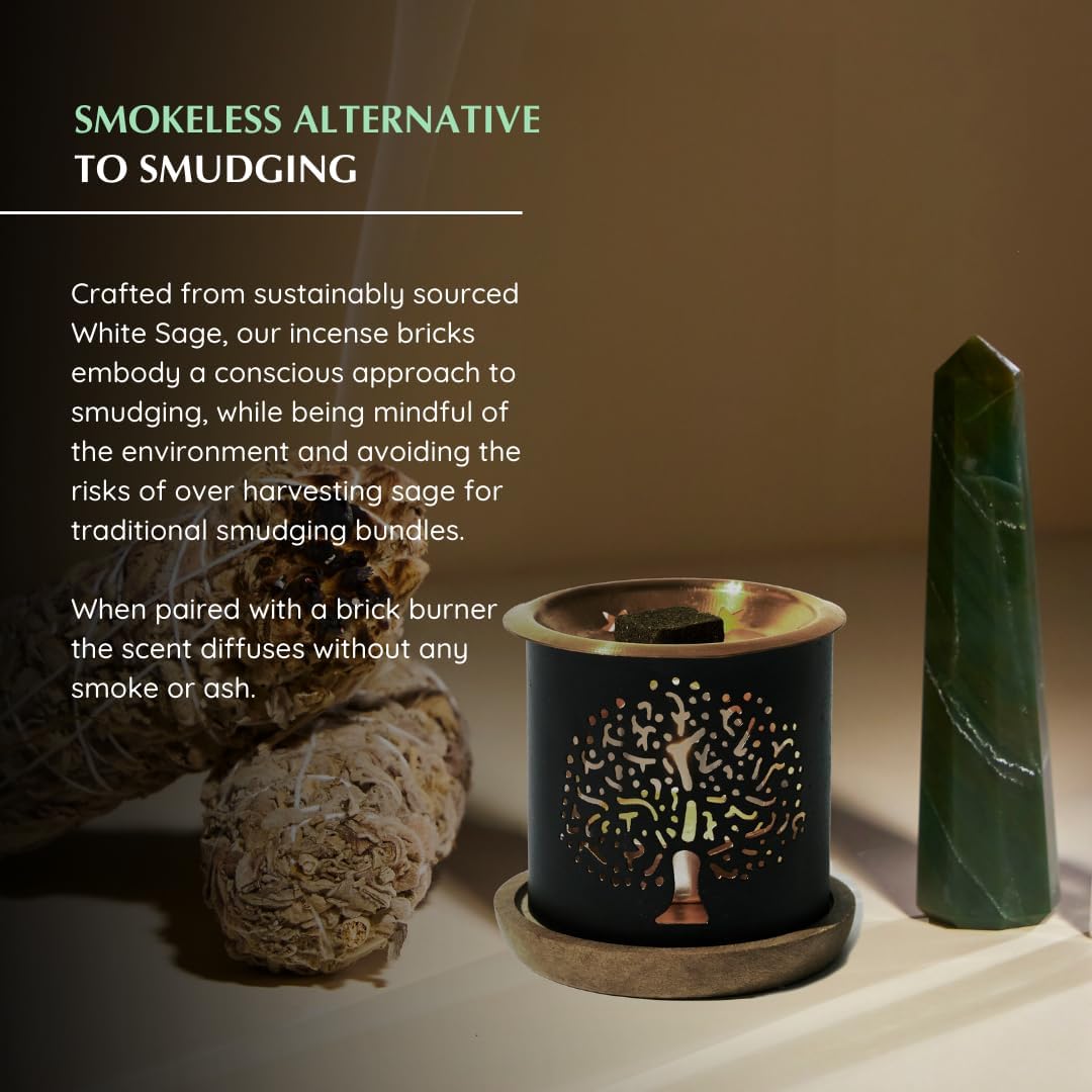 California White Sage Incense Bricks & Tree of Life Exotic Burner by Aromafume | 2x9 Bricks | Sage Incense for Cleansing Negative Energy & Protection | Sage for Smokeless Smudging, Spiritual Cleansing
