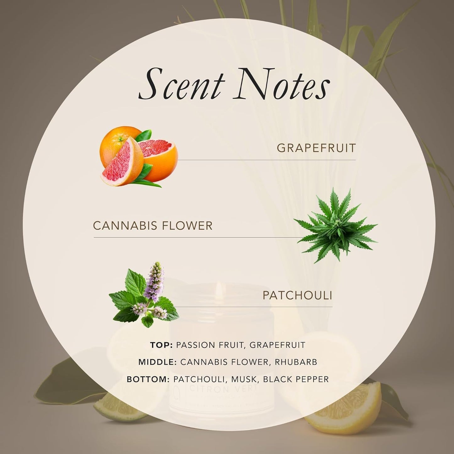 Let's Get Lit, Patchouli Musk Soy Candle, Grapefruit Passion Fruit Black Pepper, Perfume-Inspired, High Fragrance Load, Lead-Free Wick, Reusable Glass Jar, 7 oz
