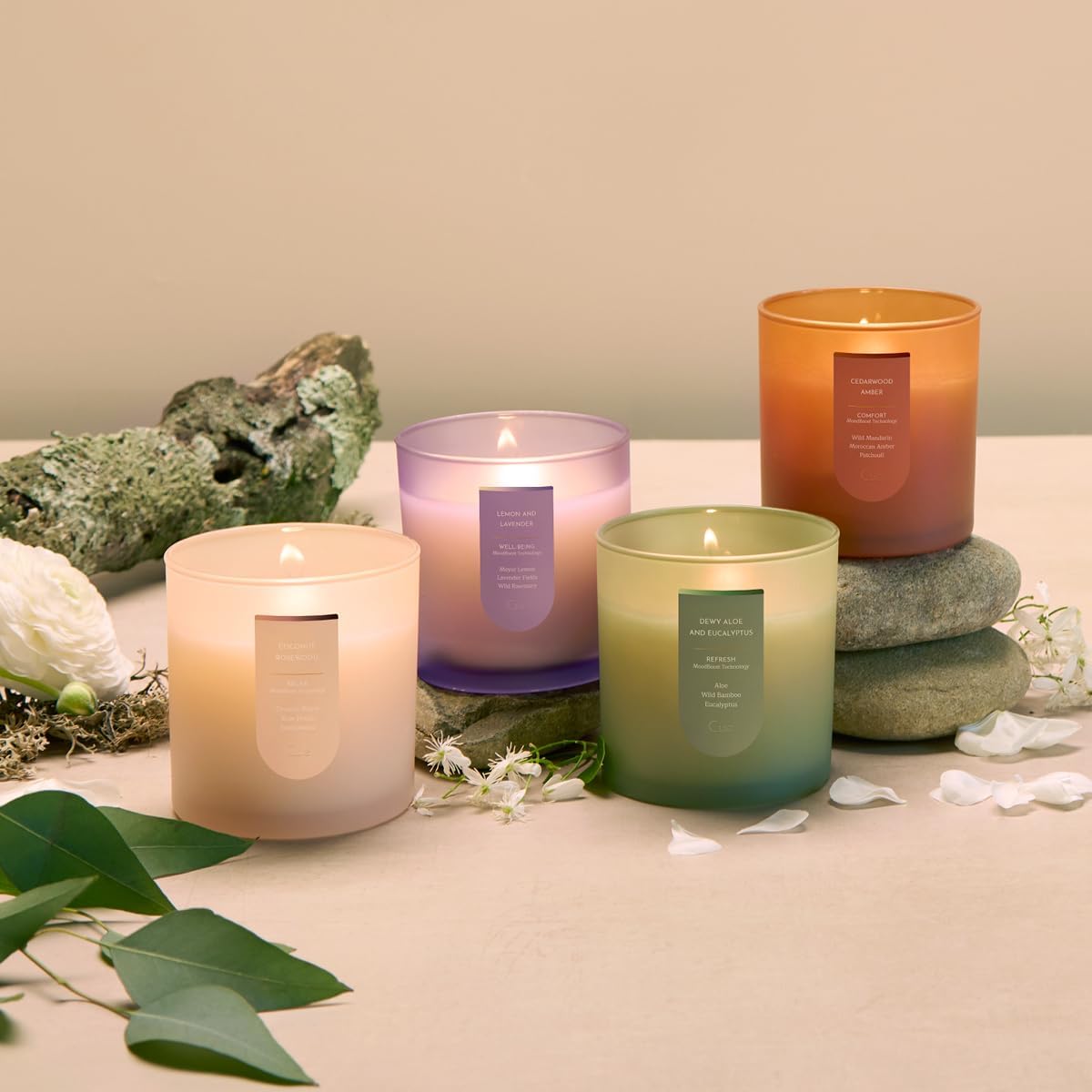 CUE Scented Candle |MoodBoost Essential Oils |OpenWick Clean Burning Candle | Soy Coconut Wax Blend | Candle for Home | Gift |Extended Burn Time (8.5oz, Cedarwood Amber)