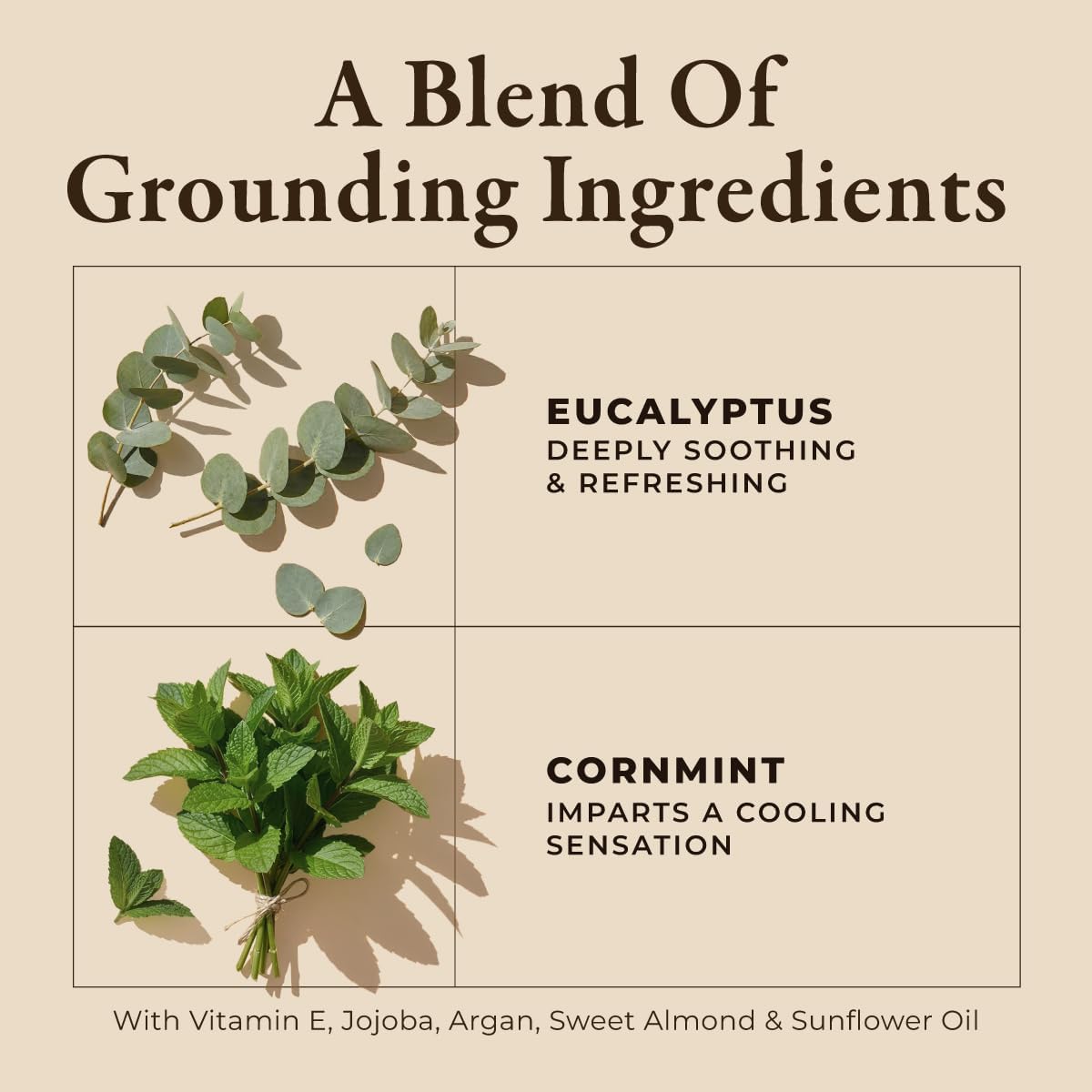 Gya Labs Eucalyptus Mint Massage Oil - 6.76 Fl Oz - Eucalyptus Mint Massage Oil for Sore Muscles and Relaxing Massages, Invigorating Scent - Non-Greasy Formula, Non-GMO and Cruelty-Free