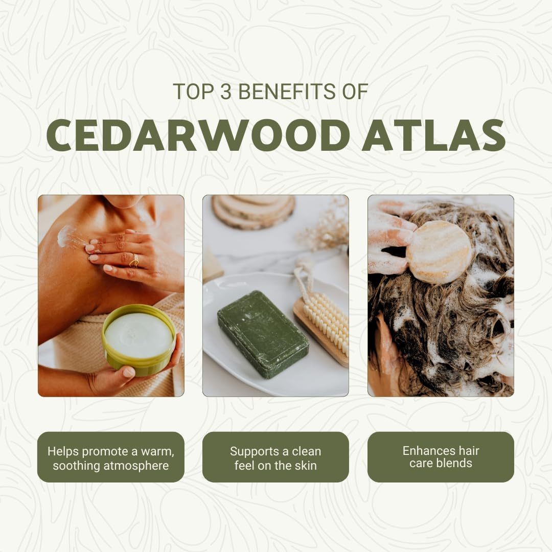 Pure Cedarwood (Atlas) Essential Oil (15ml) - Direct from Malagassi Essential Oils Farm in Morocco - Essential Oils for Diffusers and Aromatherapy | Pure Therapeutic Grade