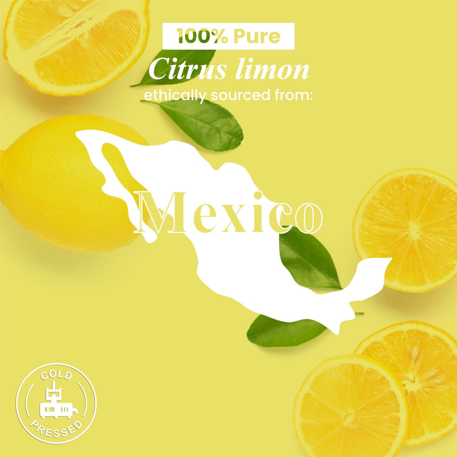 Handcraft Blends Clear & Clean Set: Tea Tree and Lemon Essential Oils – (2 x 4 Fl Oz) – 100% Pure & Natural – for Diffuser, Aromatherapy, and DIY Projects
