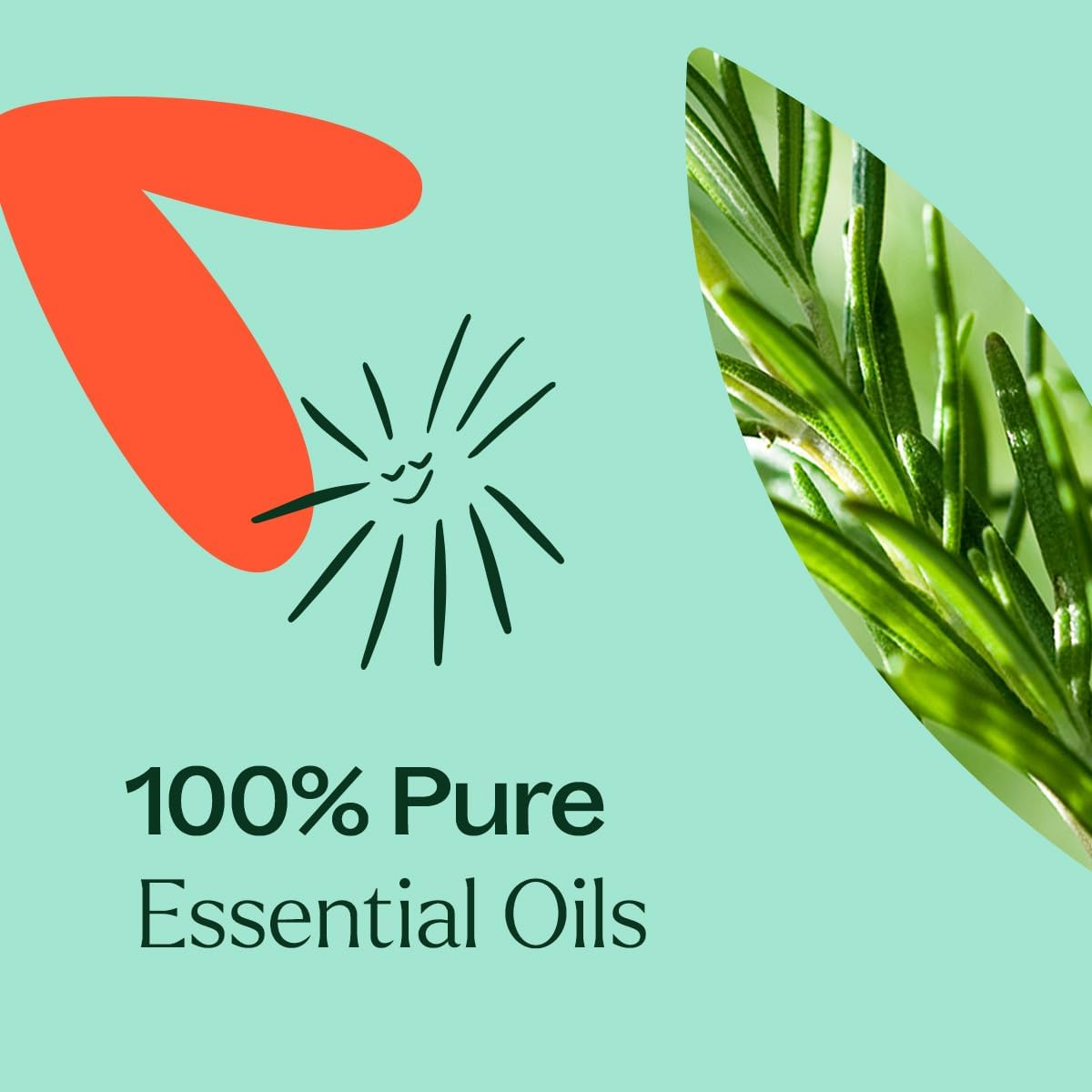 Plant Therapy Eucalyptus Mint Essential Oil Blend 10 mL (1/3 oz) 100% Pure, Undiluted, Invigorating, Breathe Easier Aromatherapy Blend for Diffusers, Home, Shower Aromatherapy