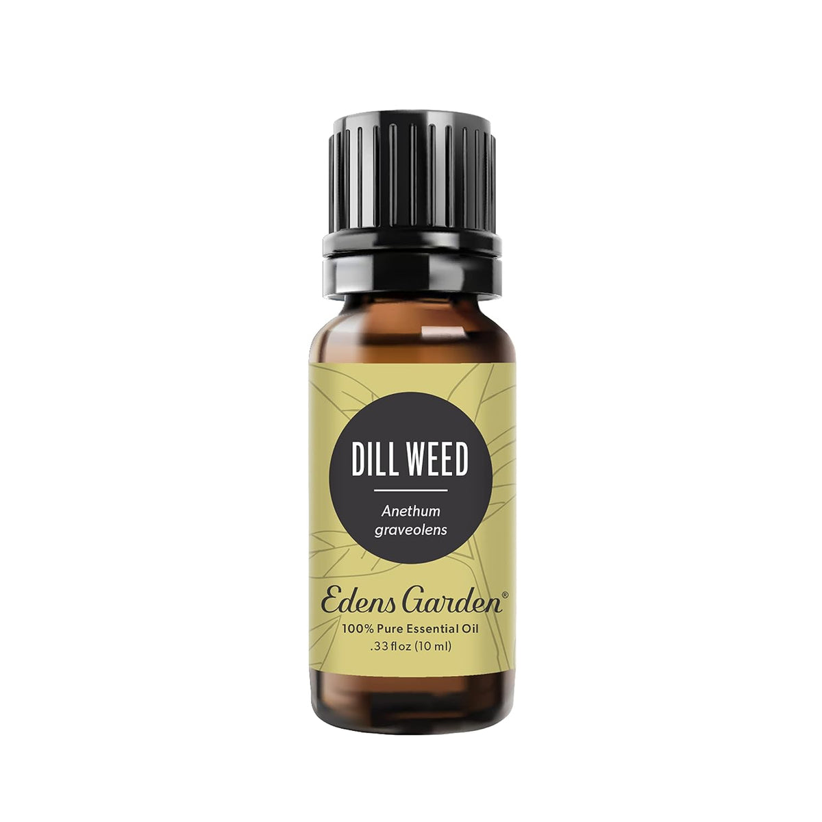Edens Garden Dill Weed Essential Oil- 100% Pure Premium Grade