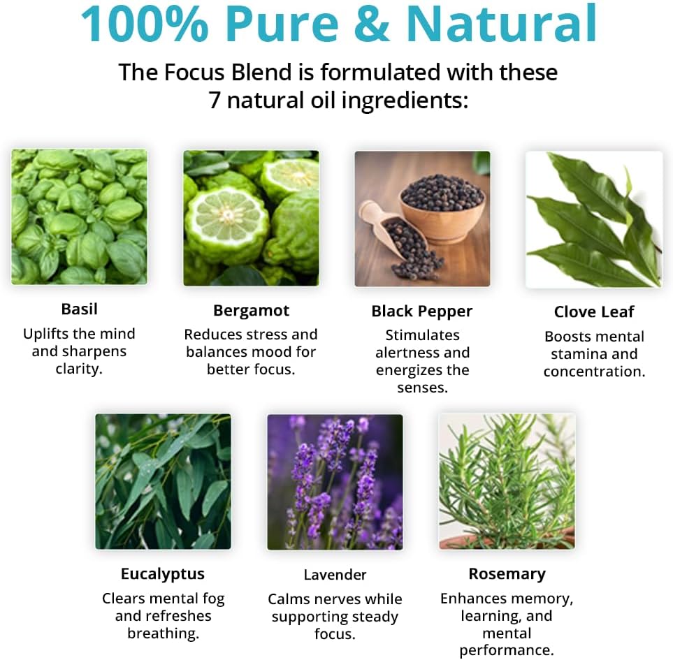 Wild Essentials Focus 100% Pure Essential Oil Synergy Blend 10ml, Therapeutic Grade Concentration Formula for Mental Clarity, Study, Work, Test, Interview, Attention Made in The USA