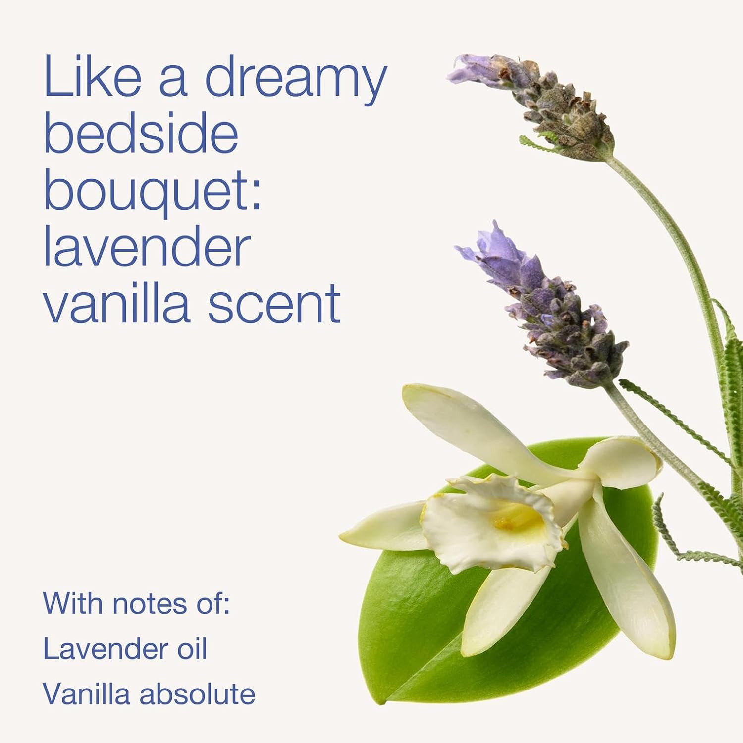 Bath & Body Works Lavender Vanilla Body Wash & Foam Bath, Aromatherapy Cleanser with Vitamin E & Aloe, Non-Drying & Gentle for Daily Use, 10 fl oz - 2 Pack