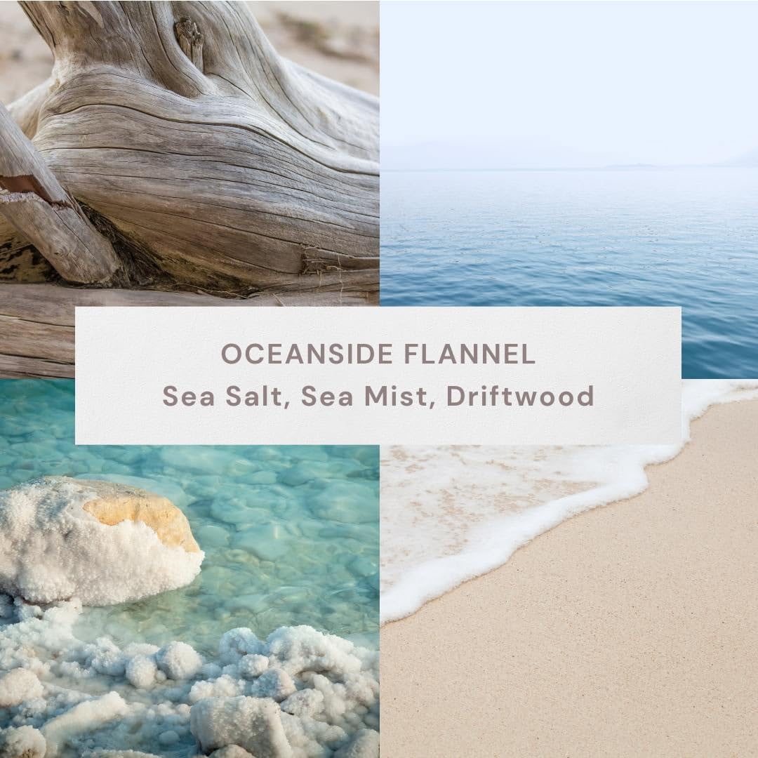 Scented Re ed Diffuser 3 Fl Oz (90 ml) W/ 8 Synthetic Sticks (Oceannside Flannel)