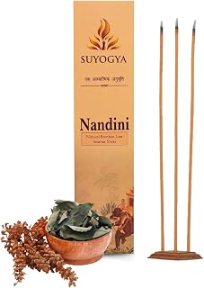 Nandini Premium 9-Inch Bambooless Incense Sticks - Hawan Samagri, 60 Minutes Long-Lasting Fragrance for Pooja, Meditation, Festivals & Relaxation - Pack of 1