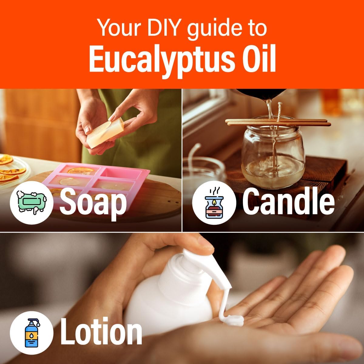 H'ana Eucalyptus Oil - 1.02 Fl Oz Eucalyptus Essential Oil for Hair, Skin, Diffuser, Aromatherapy & DIY