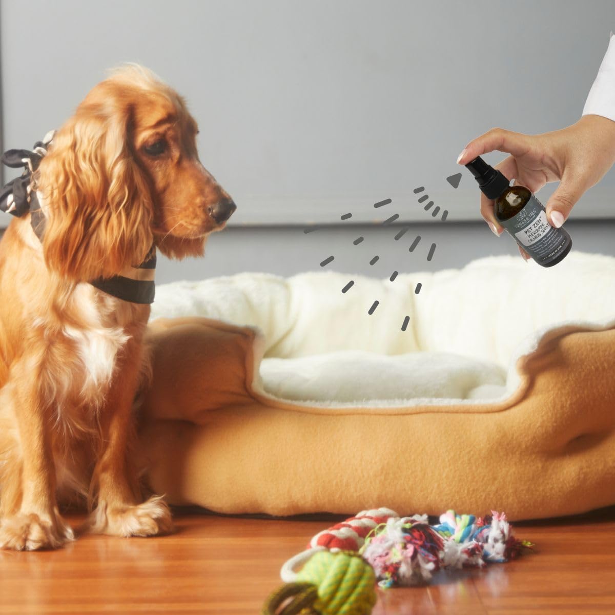 Pet Zen Pheromone Calming Spray for Dogs - Made in the USA - Alcohol-Free - for Carriers, Bedding, Travel & Vet Visits