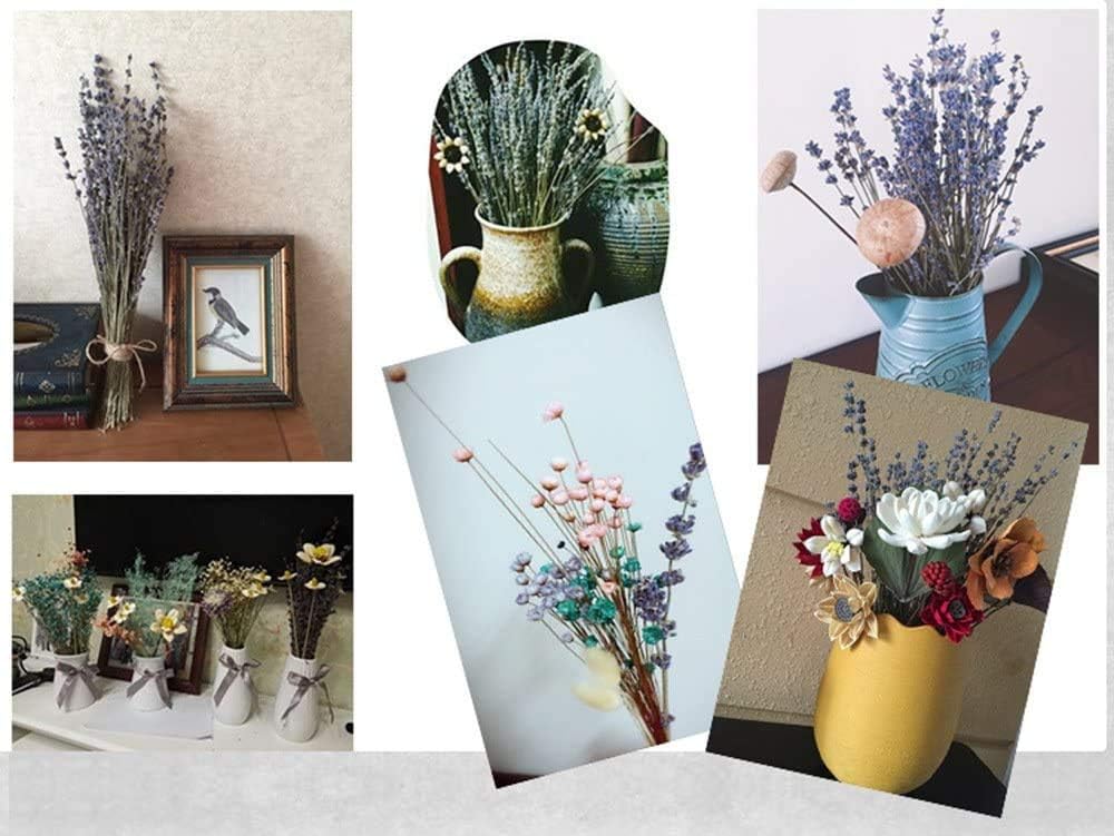 TooGet Lavender Dried Ultra Blue Bundles 400+ Stems (16" - 18" Long) for Home Decor, Crafts, Gift,Wedding or Any Occasion