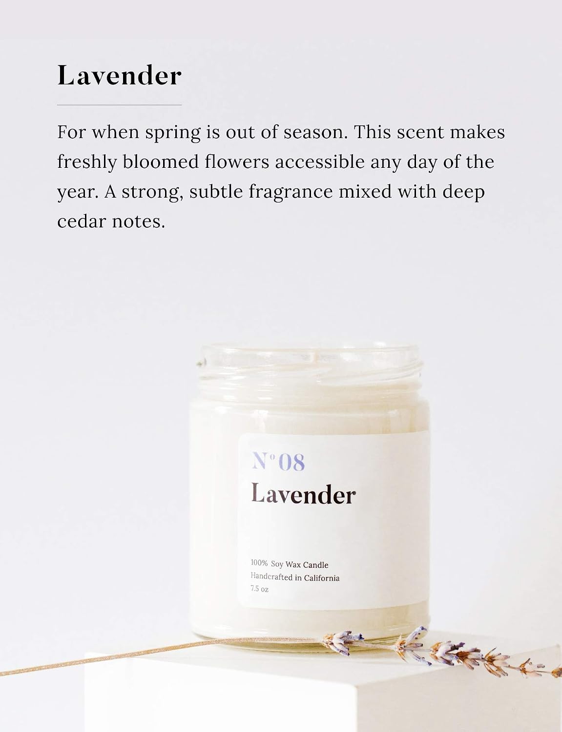 Mia's Co Lavender Scented Candle, Handmade with Natural Soy Wax and Cotton Wicks, 7.5 oz Minimalist Aromatherapy Candle for Home, Long Lasting Burning for Stress Relief, Candle Gift for Women