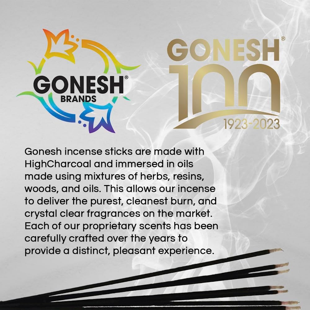 Gonesh Patron Saint Easter Collection - Incense Sticks Variety Pack - Non-Toxic 10” Slow Burn Aromatic Sticks - St. Jude, Our Lady of Guadalupe, St. Michael, Sacred Heart of Jesus - 30 Each