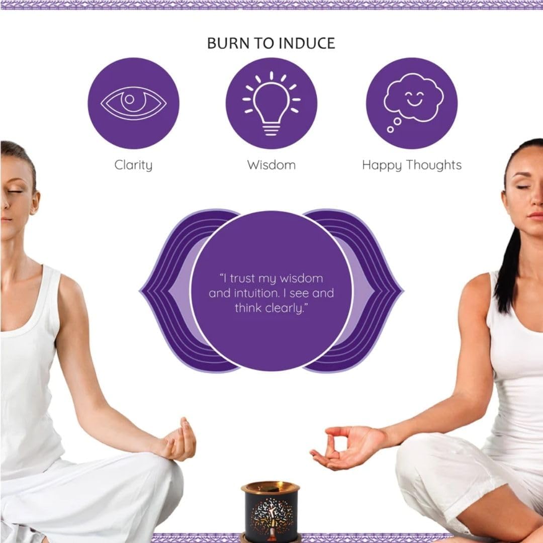 Third Eye Chakra Incense Brick Refill by Aromafume | 3 Trays x 9 Bricks | Ajna | Smokeless Incense Set for Chakra Balance | Rose & Juniper Extracts | Yoga & Meditation Gifts | Non-Toxic