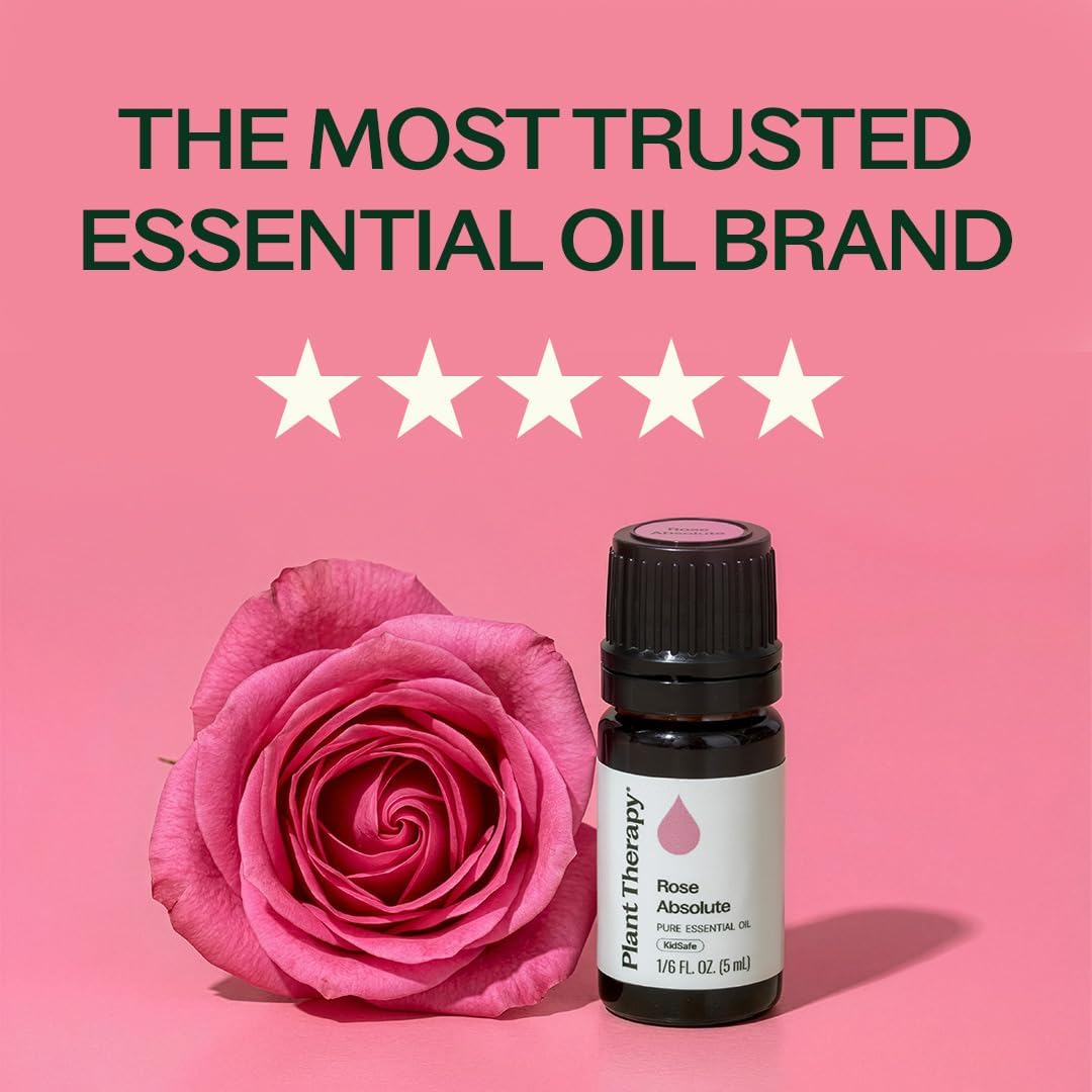 Plant Therapy Rose Absolute Essential Oil, 5 mL (1/6 oz), 100% Pure, Undiluted, Calming & Emotionally Grounding, Great Essential Oil for Skincare