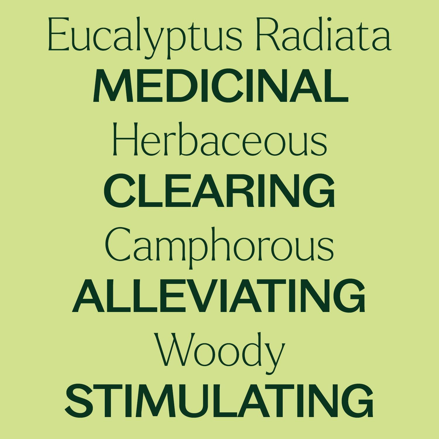 Plant Therapy Eucalyptus Radiata Essential Oil 30 mL (1 oz), 100% Pure, Undiluted, for Aromatherapy, Respiratory Support & Focus