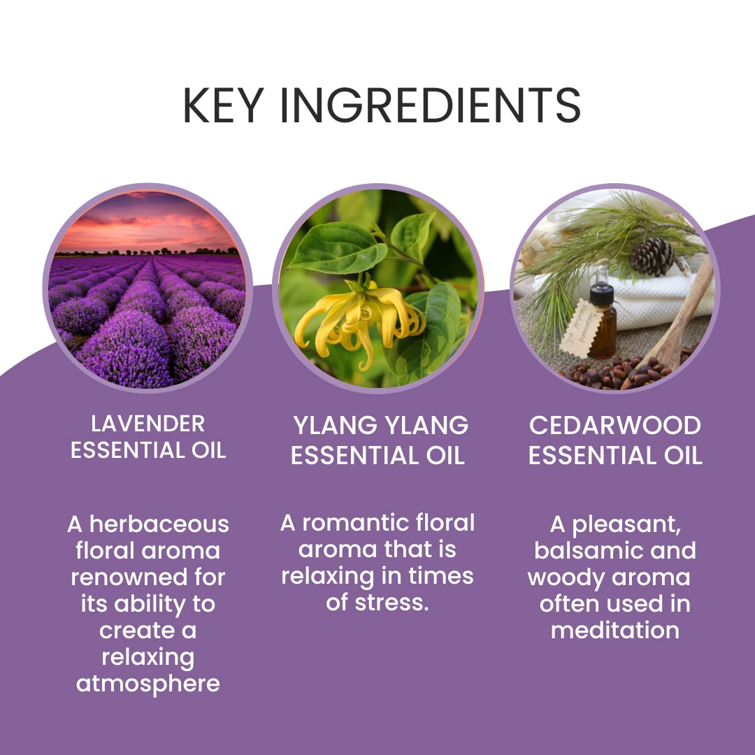 TIME OUT Aromatherapy Roll-On w/Lavender, Ylang Ylang & Cedarwood | Natural Essential Oils for Relaxation for Stress & Calming Relief | 100% Pure, Natural, Therapeutic Grade Oils | Stocking Stuffer