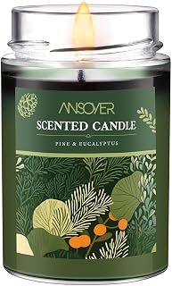 Scented Soy Candle, Aromatherapy Jar Candles for Home Scented, Long Lasting with 70 Hour Burn Time 11oz, Gifts, Soy Candles Scents of (Pine & Eucalyptus)