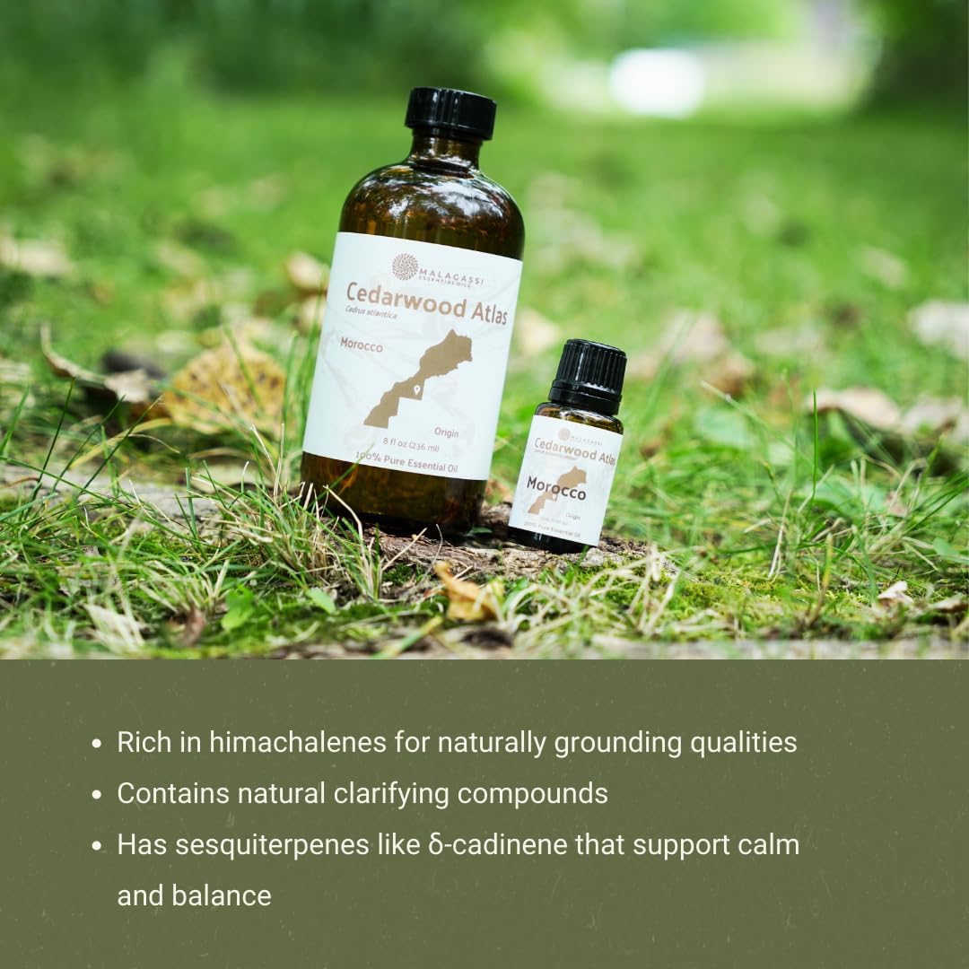 Pure Cedarwood (Atlas) Essential Oil (15ml) - Direct from Malagassi Essential Oils Farm in Morocco - Essential Oils for Diffusers and Aromatherapy | Pure Therapeutic Grade