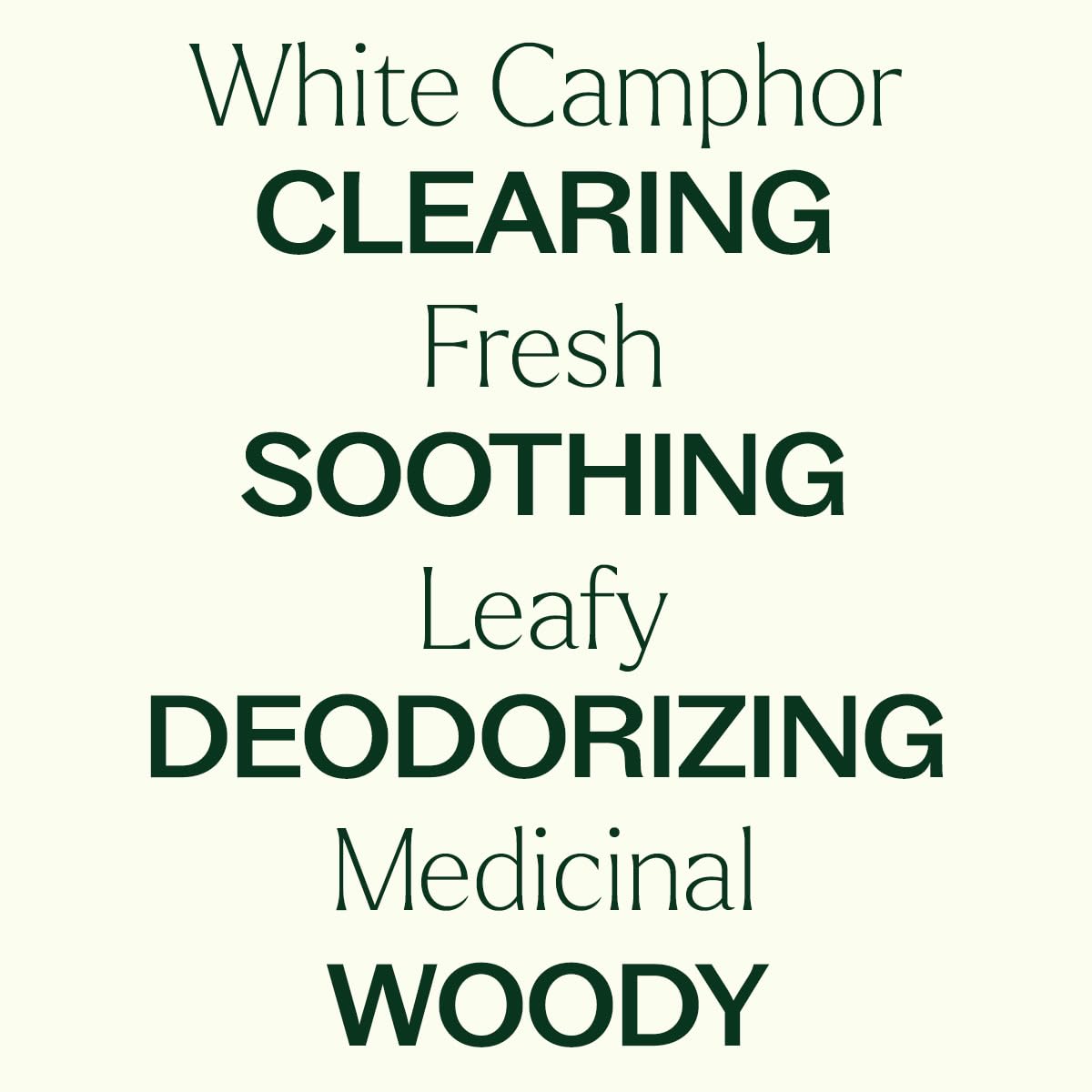 Plant Therapy White Camphor Essential Oil 30 mL (1 oz) 100% Pure, Undiluted, Supports Respiratory Health