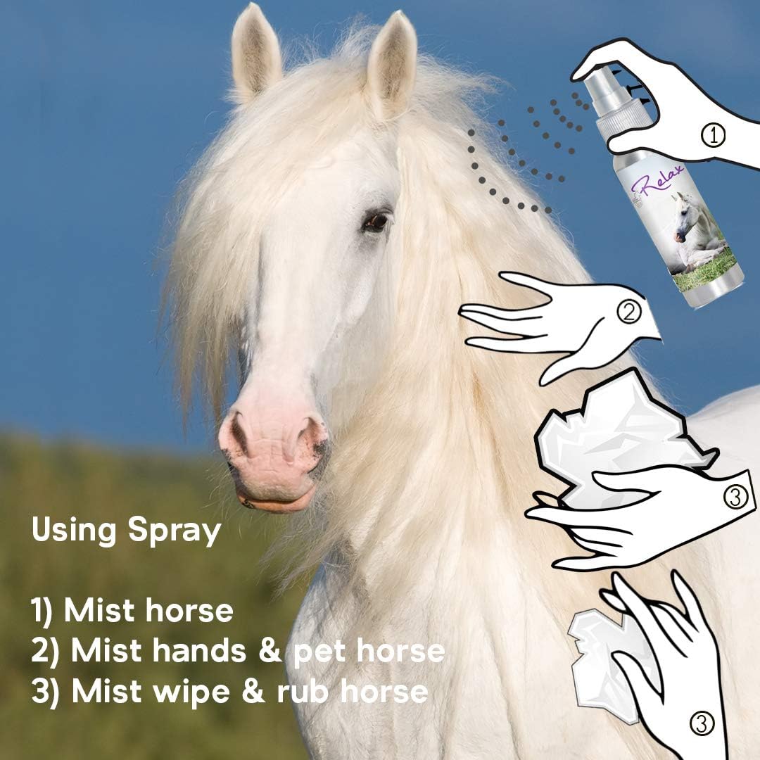 The Blissful Horses Focus Roll On Horse Aromatherapy All Natural Support for Concentration