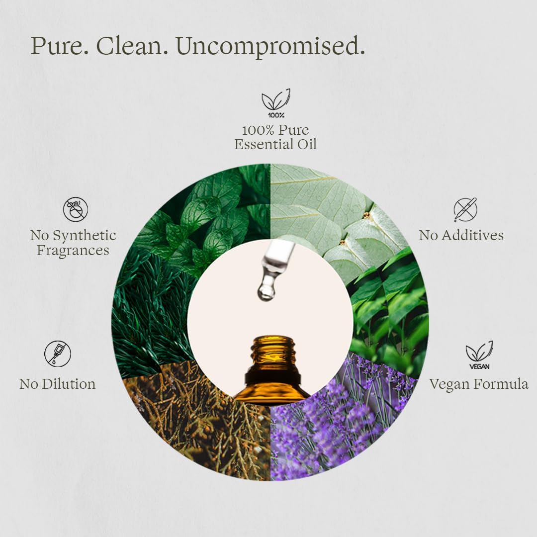 Lavender Essential Oil - 100% Pure Lavandula Angustifolia for Diffusers & Home Fragrance Scent (1 fl oz / 30 ml)