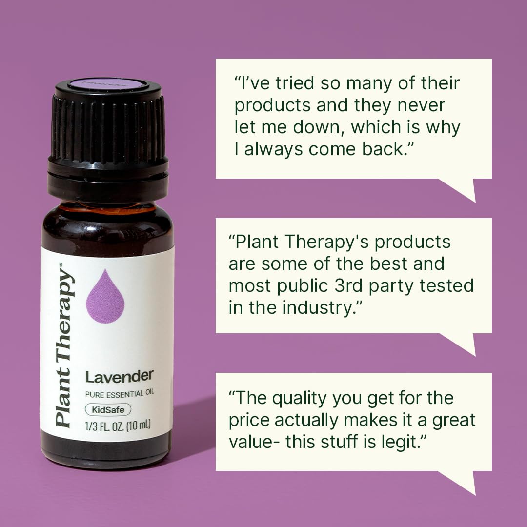 Plant Therapy Lavender Essential Oil 100% Pure, Undiluted, Natural Aromatherapy, Therapeutic Grade 100 mL (3.3 oz)