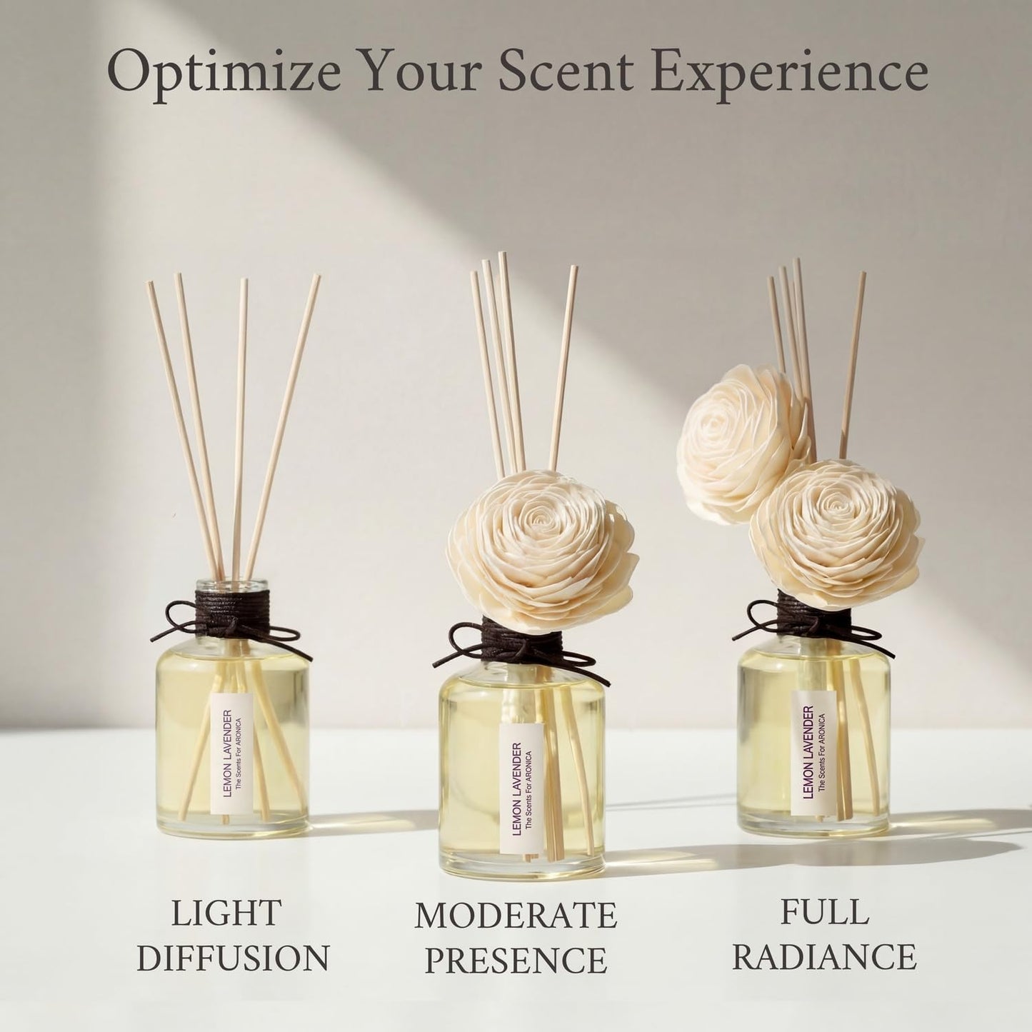 Aronica Twin Sola Diffuser 160ml_Eucalyptus and Bergamot Essential Oil Flower Diffuser, Non Toxic Reed Diffusers, Beach Themed Home Room Decor, Natural Gift for Men, Beach Scent