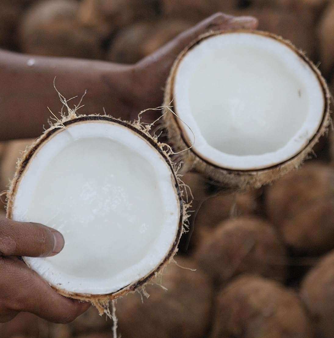 Fractionated Coconut Oil - Sourced Directly from our Farm Partner in the Philippines - Carrier Oil for Diluting Essential Oils, Body, Hair, and Skin Moisturizer - (16oz)