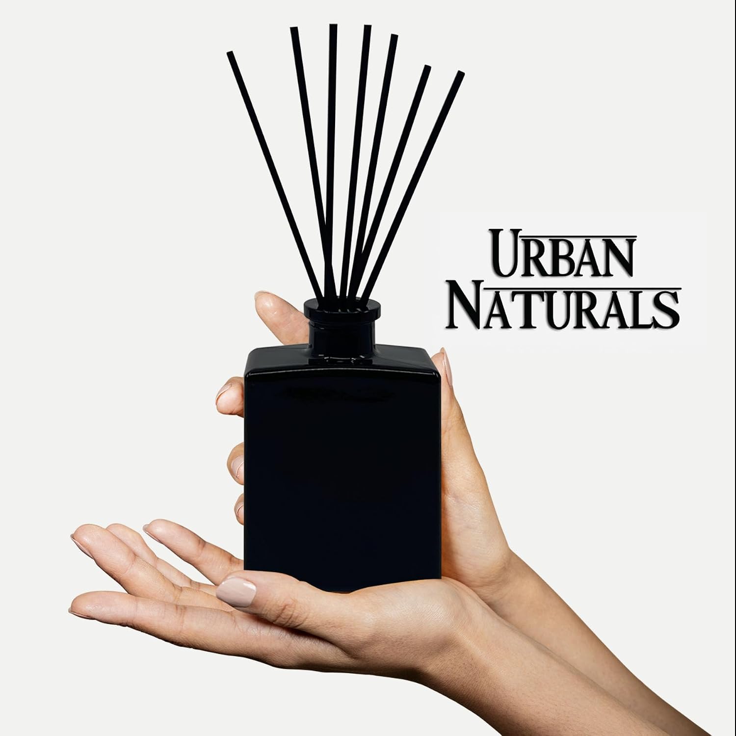 Urban Naturals Balsam Forest Reed Diffuser Oil Set – Fraser Fir, Evergreen, Pine, Woodsy Cedar and Sandalwood – 5 Ounce Sleek Black Rectangular Refillable Glass Bottle – Made in the USA