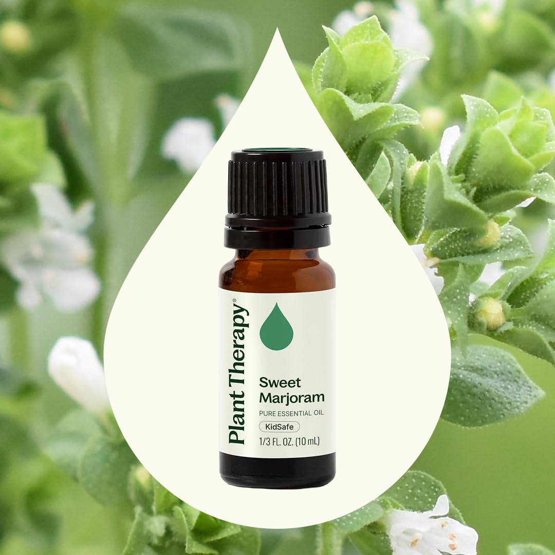Plant Therapy Sweet Marjoram Essential Oil 10 mL (1/3 oz) 100% Pure, Undiluted, Soothing Aromatherapy for Digestive Support and Sore Muscles