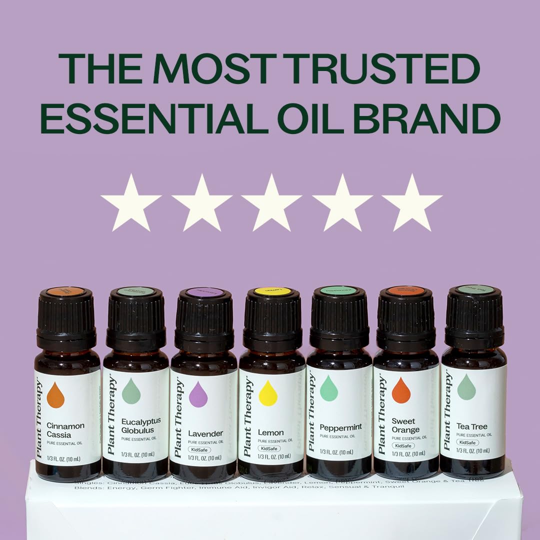 Plant Therapy 7 & 7 Essential Oils Set, 7 Most Popular Single Essential Oils Plus 7 Favorite Blends, Each 10 mL (1/3 oz), 100% Pure, Undiluted, Great for DIYs, Skincare and Essential Oil Diffusers
