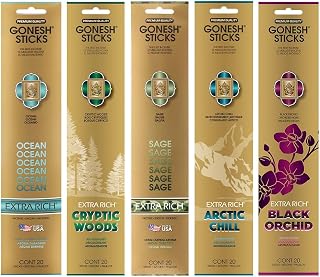 Gonesh - Extra Rich Scented Incense Sticks Variety Pack - Non-Toxic 10” Slow Burn Aromatic Sticks - Ocean, Cryptic Woods, Sage, Arctic Chill, Black Orchid - 5 Packs of 20