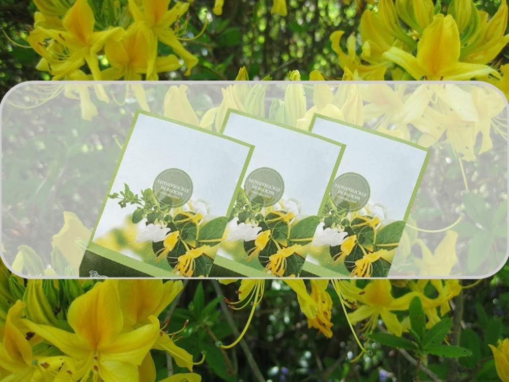 Honeysuckle Scented Sachets Pack of 3, Spring and Summer - Long-Lasting Scented Bags, Home Fragrance, Air Freshener & Deodorizer for Closet, Room, Drawer, or Cars, Made in USA
