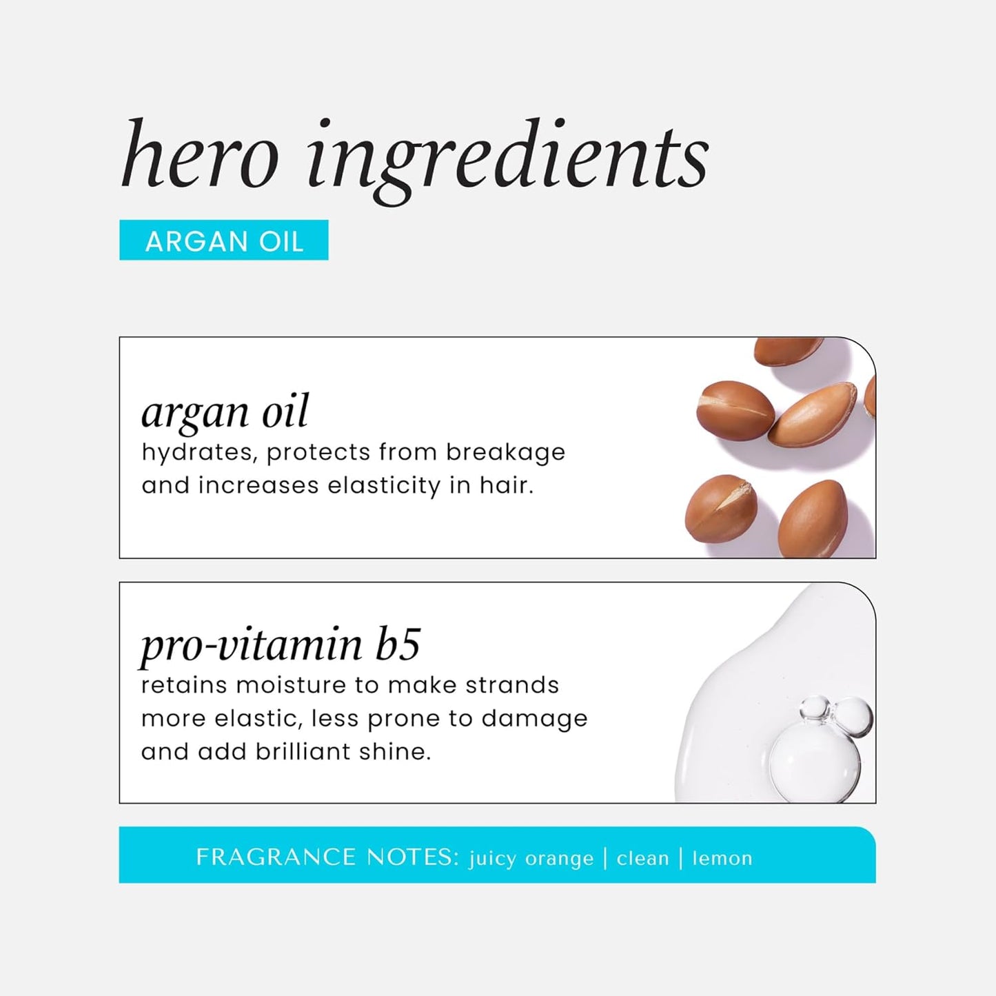 HASK Argan Oil Repairing Conditioner, 12 Fl Oz