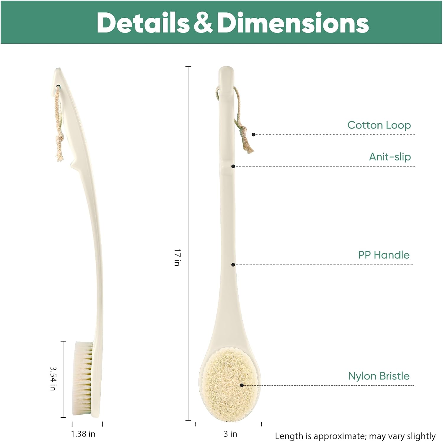 Back Scrubber for Shower, 17-Inch Shower Brush for Men and Women, Long Handle Exfoliating Body Brush, Medium Bristle Stiffness for Dry or Wet Brushing (Cream White)