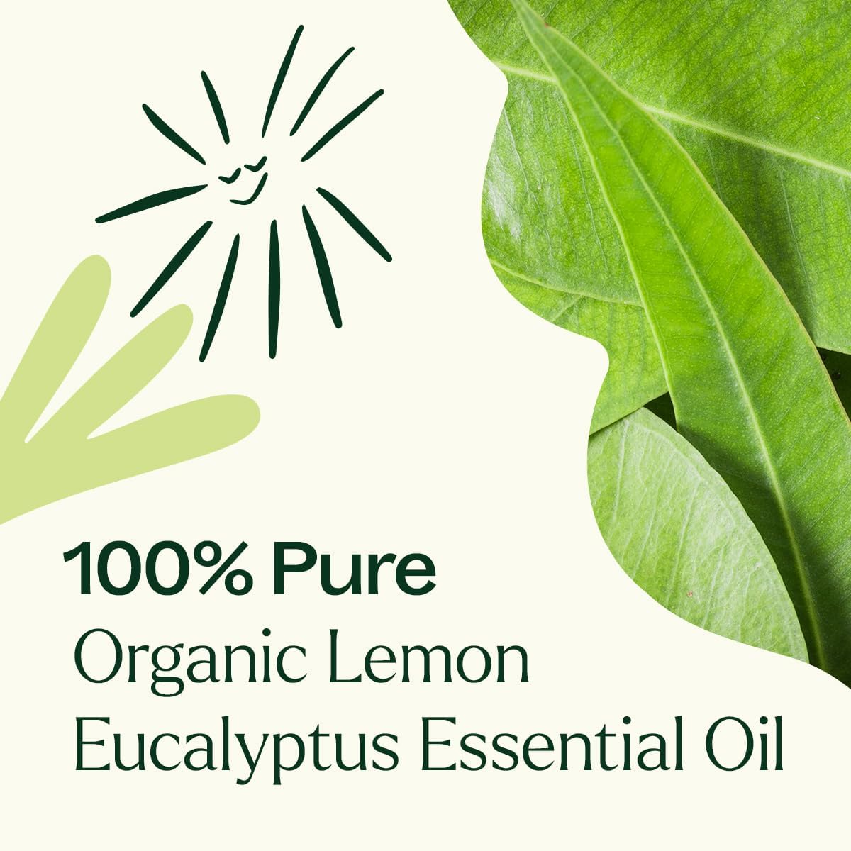 Plant Therapy Organic Lemon Eucalyptus Essential Oil 10 mL (1/3 oz) 100% Pure, USDA Certified Organic, Undiluted, Natural Aromatherapy, Fresh Scent for Deodorizing
